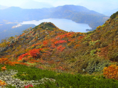 ミノブチ岳の紅葉