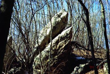 カエルのおんぶ岩