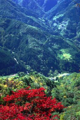 桧沢岳登山道から集落を見下ろす