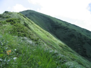 本谷山山頂を見る