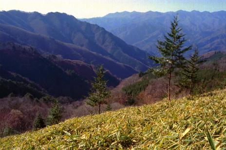 石倉山付近から見る大萱山と袈裟丸山