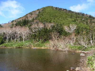 峰の大池と御巣鷹山