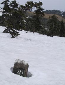 小松原分岐の標柱は雪に埋もれていた