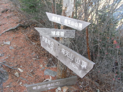 南天山山頂直下の遊歩道標識