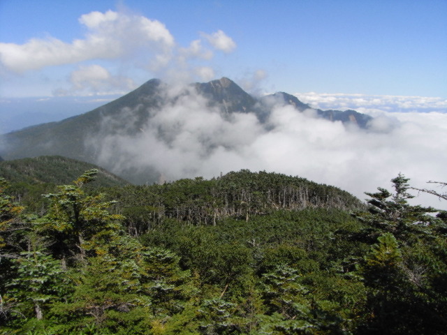 大真名子山山頂から見る女峰山