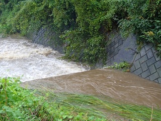 s-P9160007.jpg
