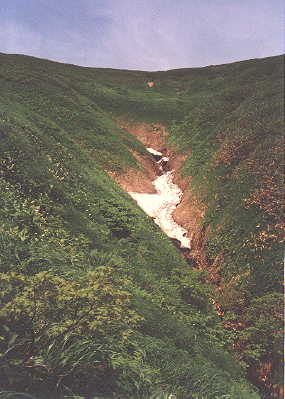 蓬峠手前には雪渓からの水が流れる